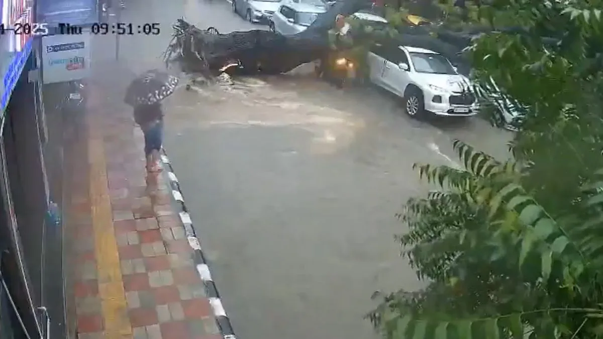 Man dies, daughter injured after being crushed by tree amid heavy rainfall in New Delhi
