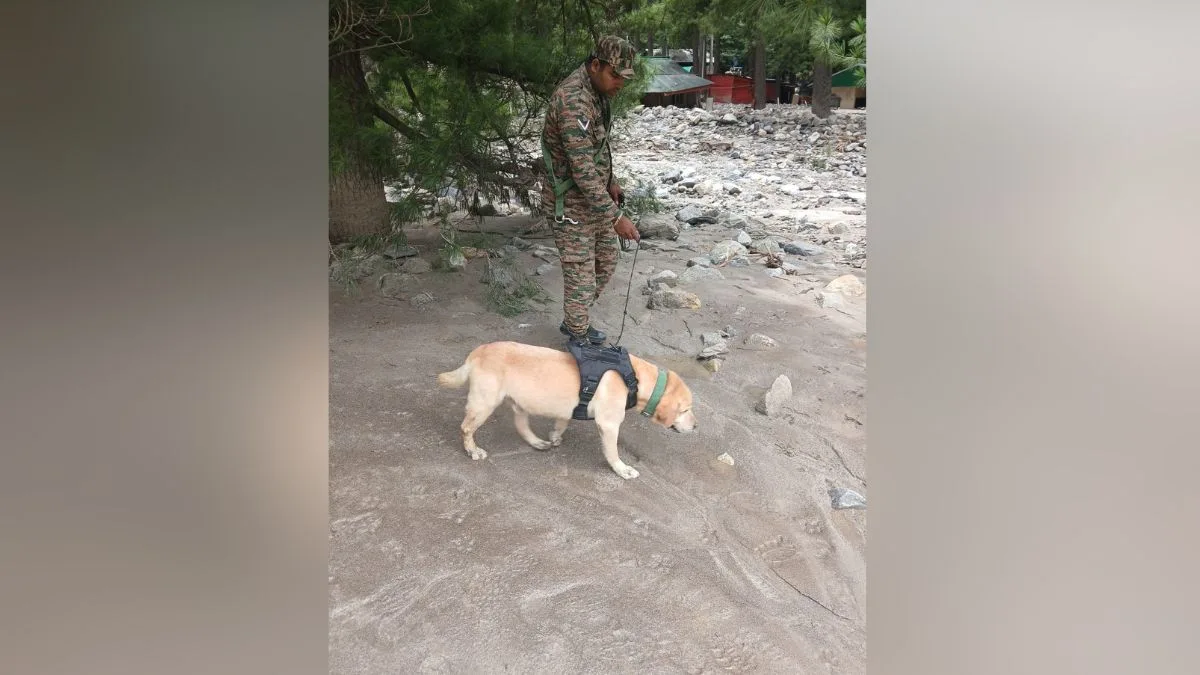 Four paws, one mission: Army’s canine warriors brave landslides and floods to save lives near Harsil