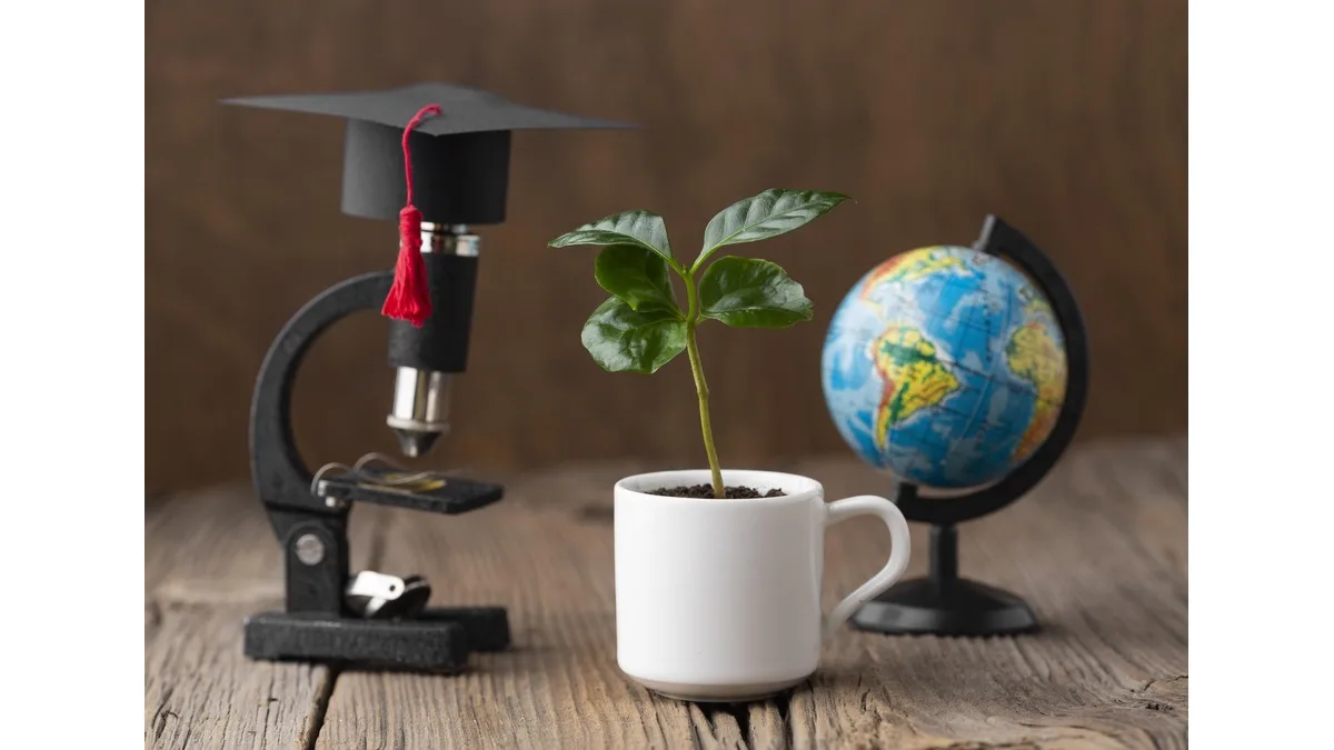 Mastering sustainability: Environmental and international development