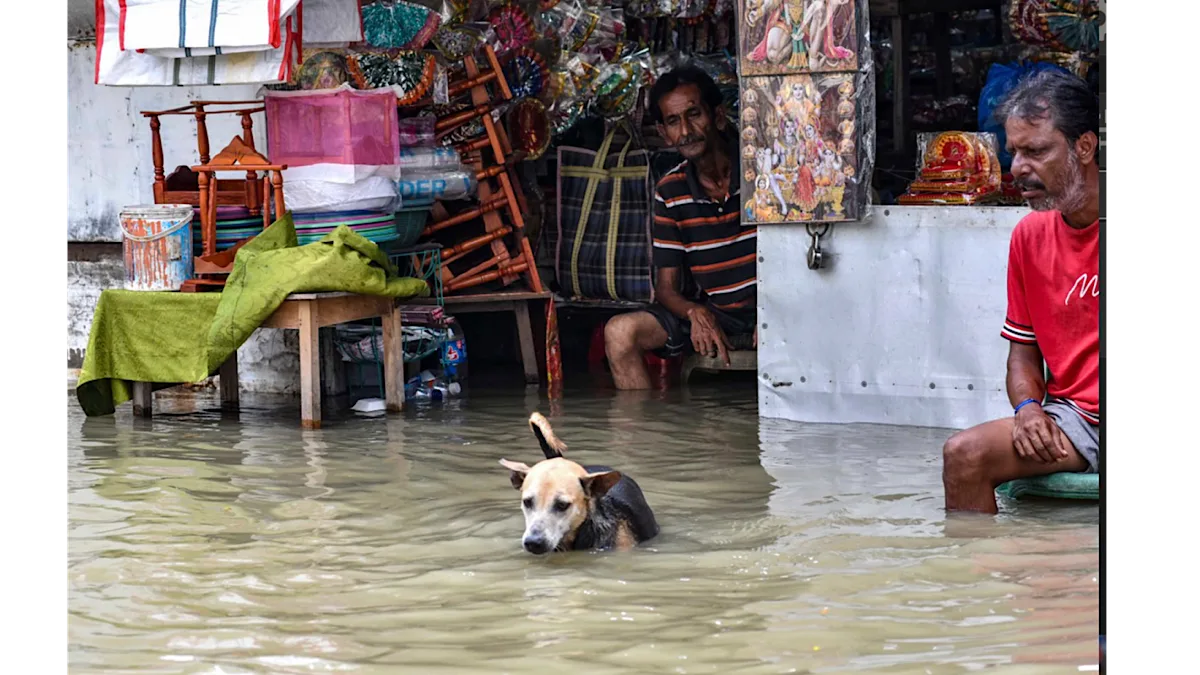 Pujas count losses after downpour