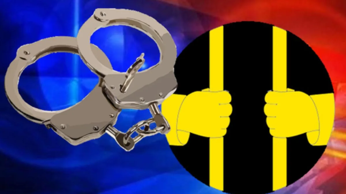 Rs 14 crore investment scam: Odisha Court sentences man to 10-yr jail