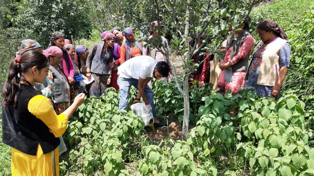 Over 2 lakh farmers engaged in natural farming, 38,437 hectares under cultivation in Himachal