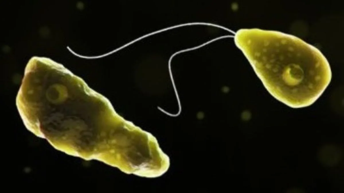 Kerala reports another amoebic meningoencephalitis death; toll at 6 in a month