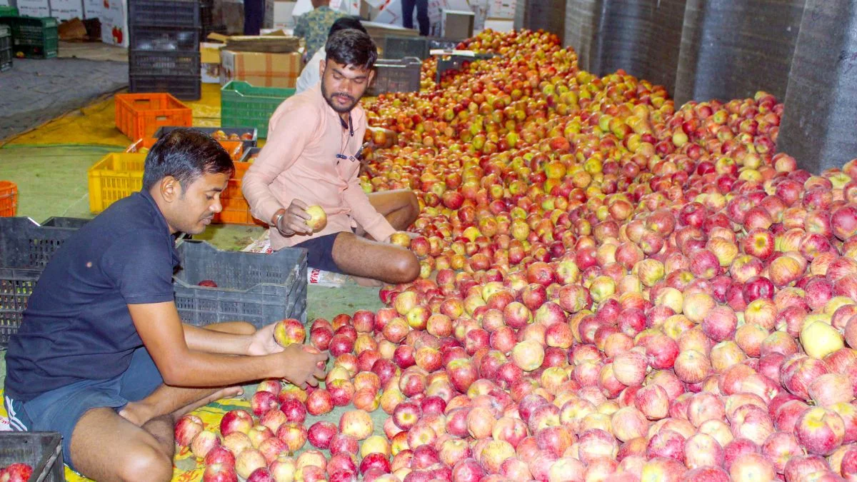 HPMC’s procurement of apples crosses 55,000 MT under MIS