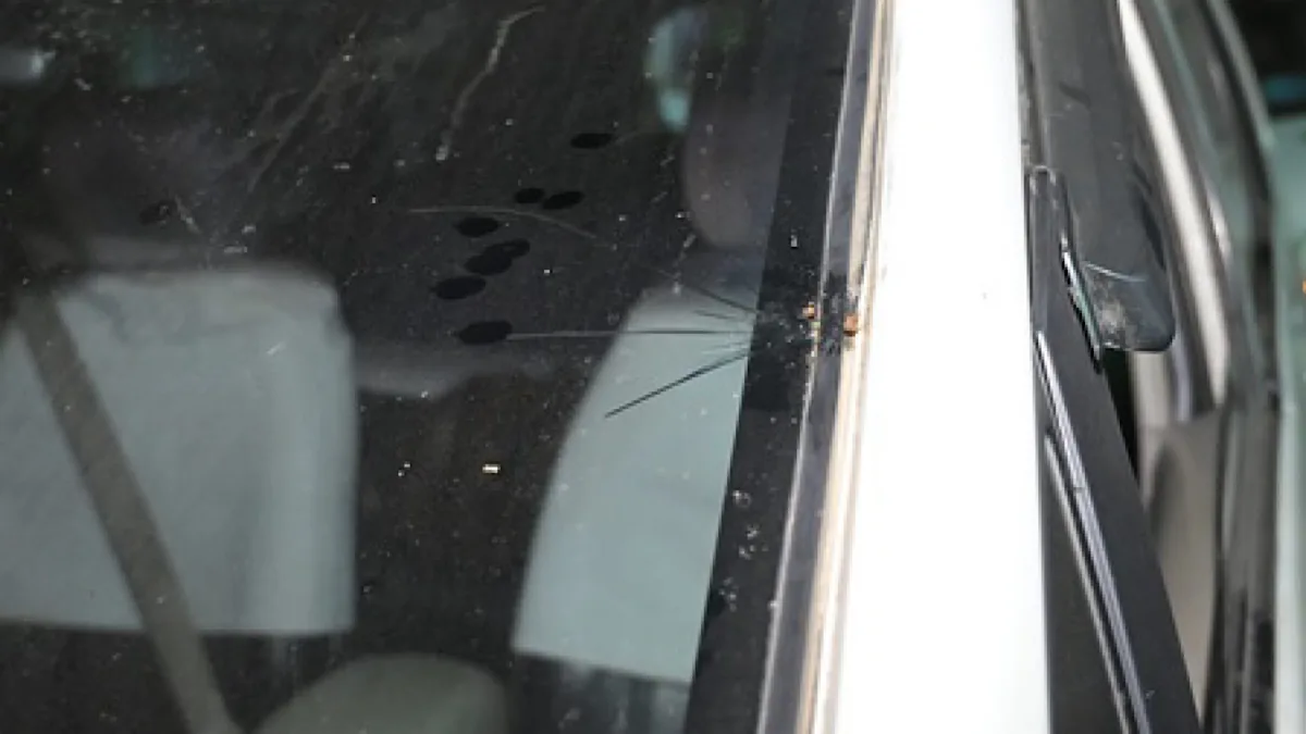 BJP MP Raju Bista’s convoy attacked by miscreants in north Bengal