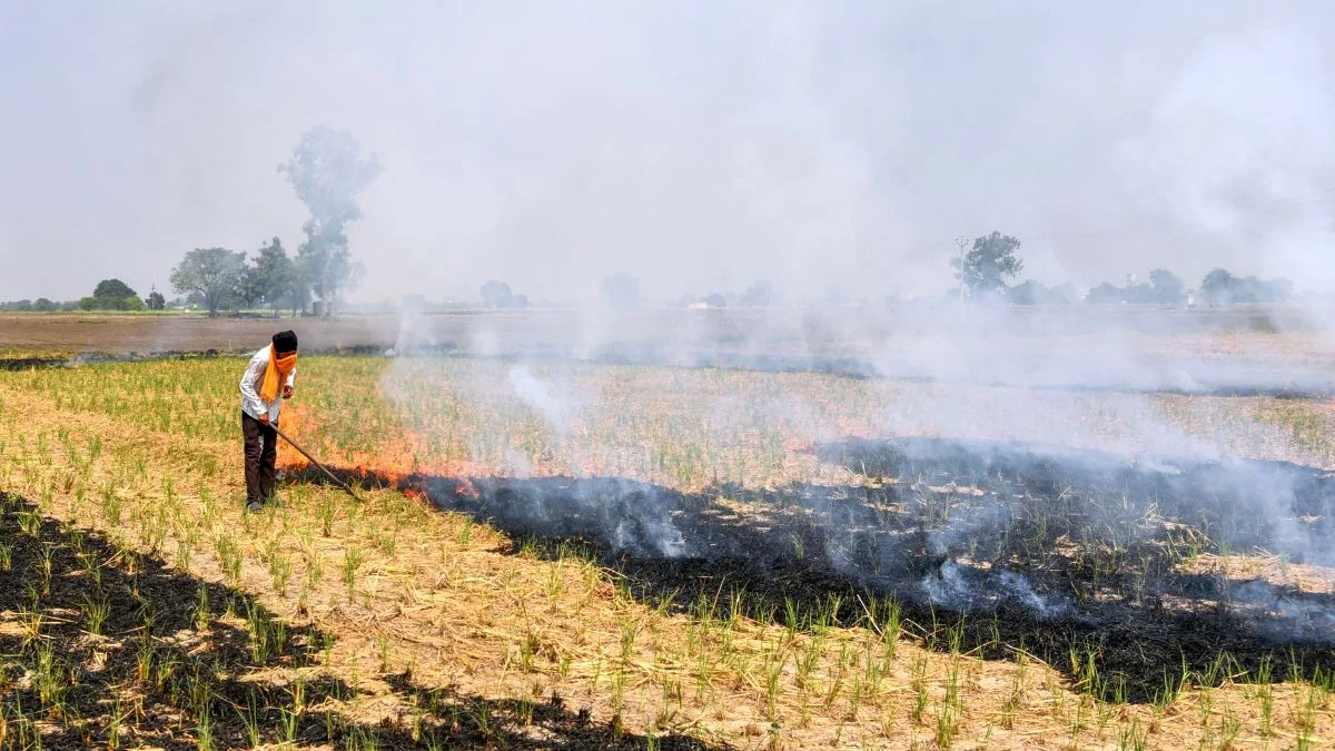 Air pollution: CAQM calls for action against lax officials for stubble burning