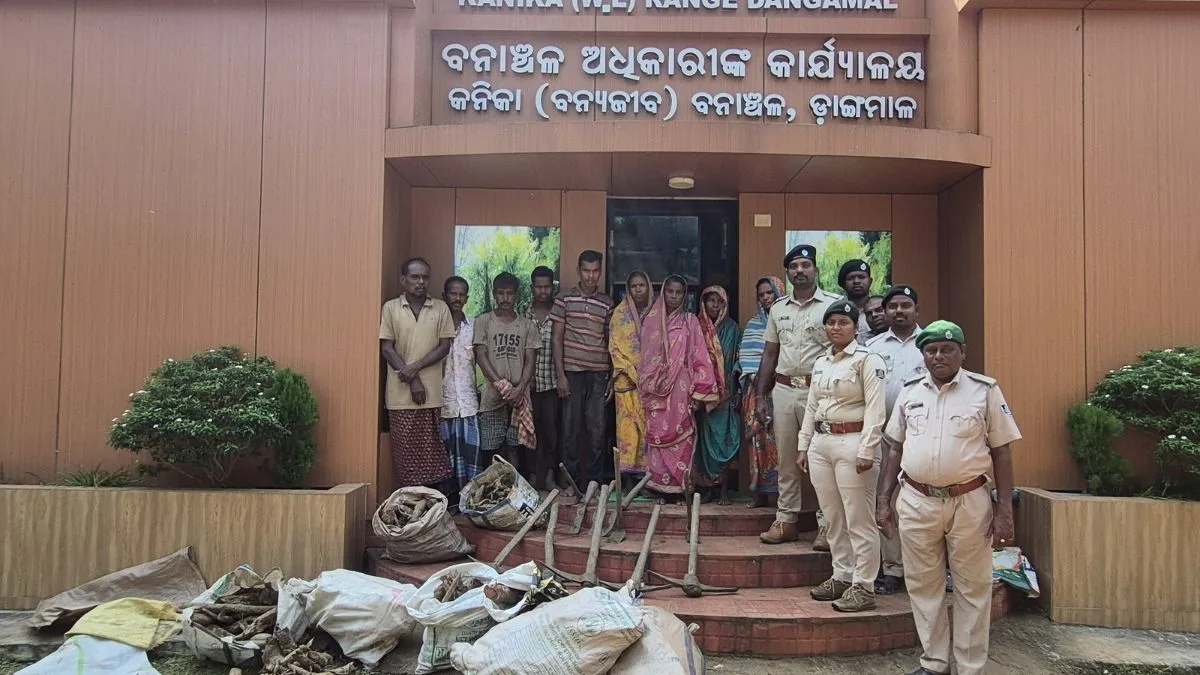 Odisha: Mangrove roots resembling sandalwood seized, nine held