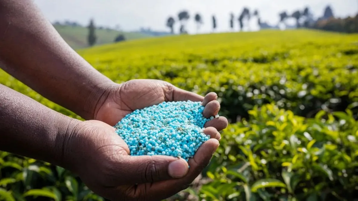 Cabinet approves Nutrient-Based Subsidy (NBS) rates for Rabi Season 2025-26