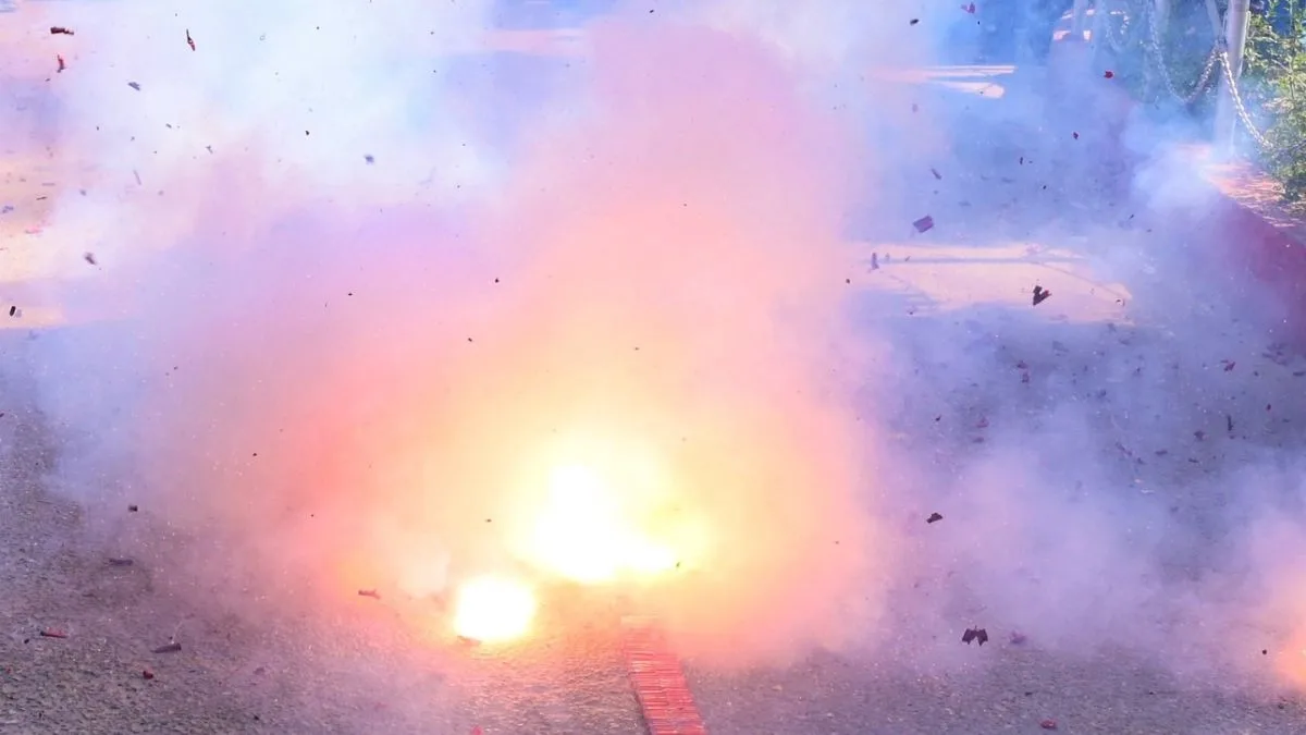 1,700 kg of firecrackers recovered in multiple raids in Delhi ahead of Diwali