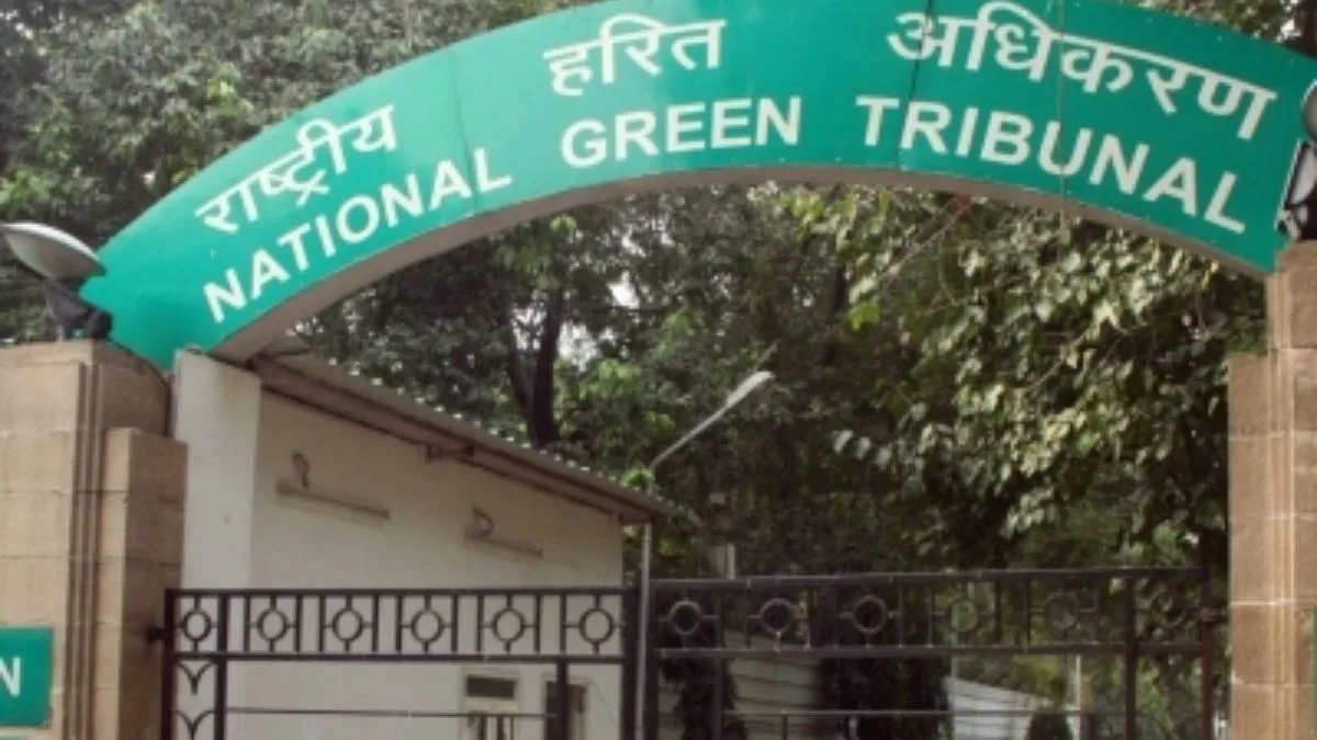 Frame guidelines on Kufri horse management and tourism activities within three months: NGT to Himachal govt
