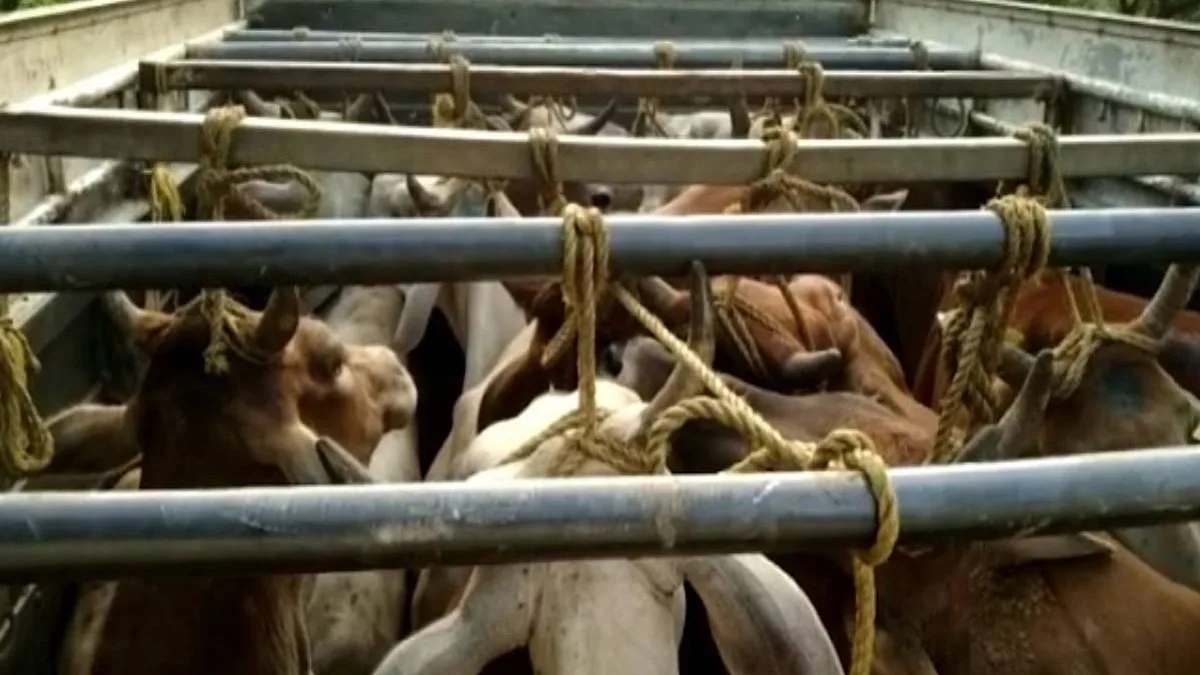 Cattle smuggler killed during cross-firing with police in UP’s Hapur