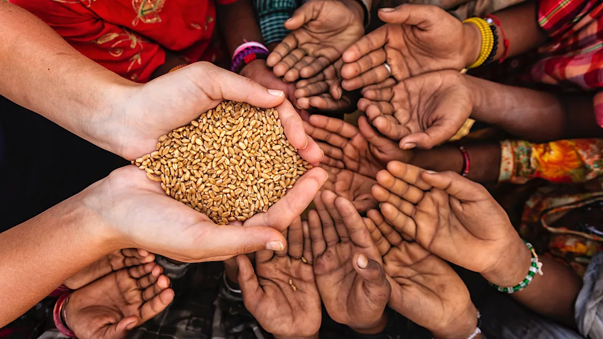 Hungry India