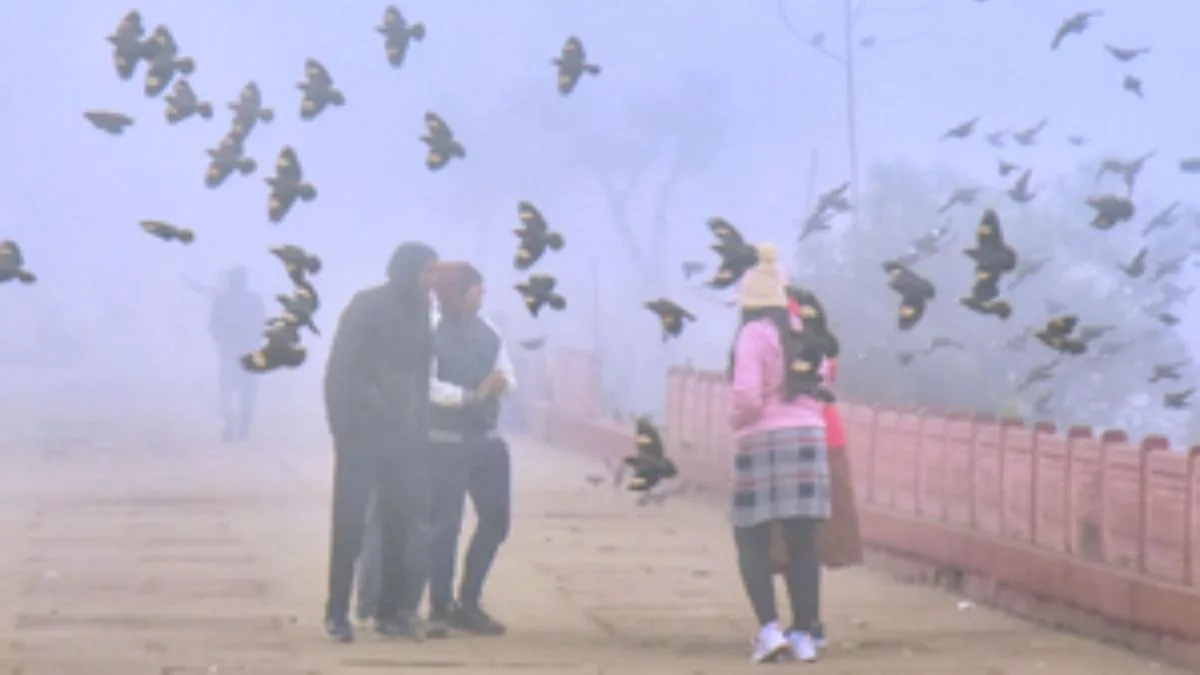 Unusual Nov chill—how La Niña will impact India in 2025-26 winter