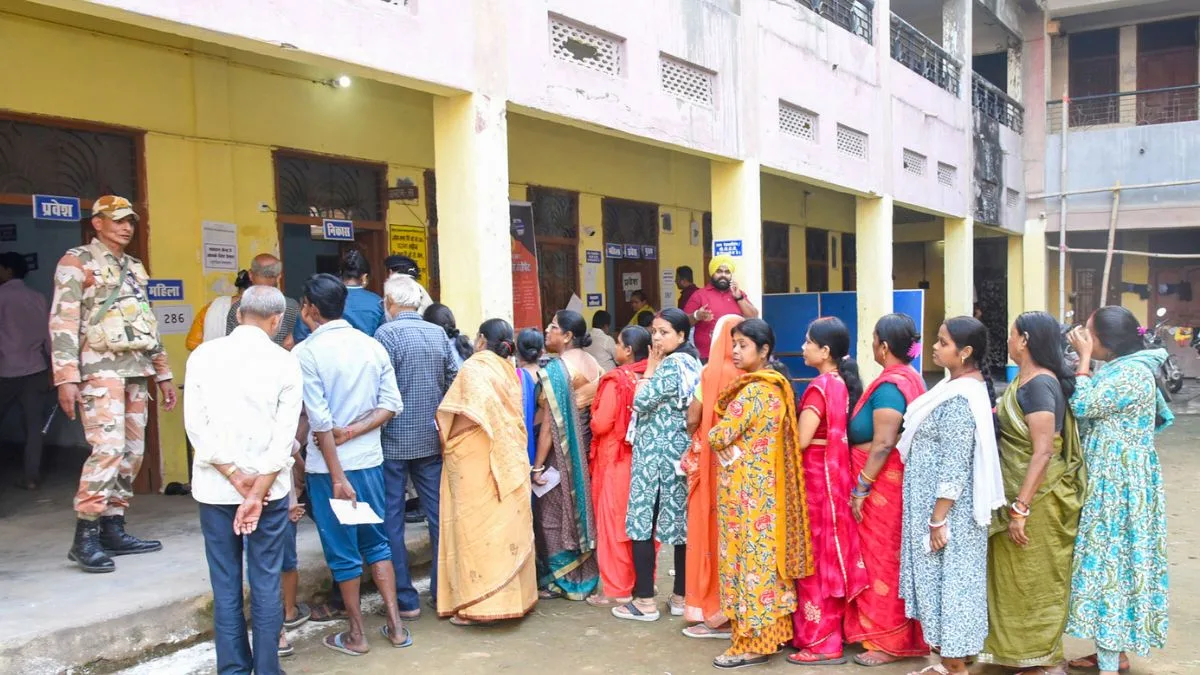 MCD by-elections to be held in 12 wards today, results on Dec 3