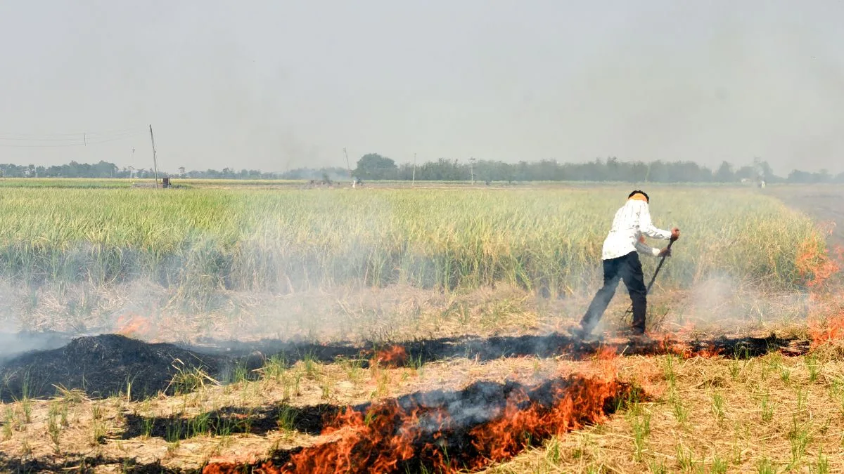 CAQM calls for urgent actions in Punjab to curb stubble burning