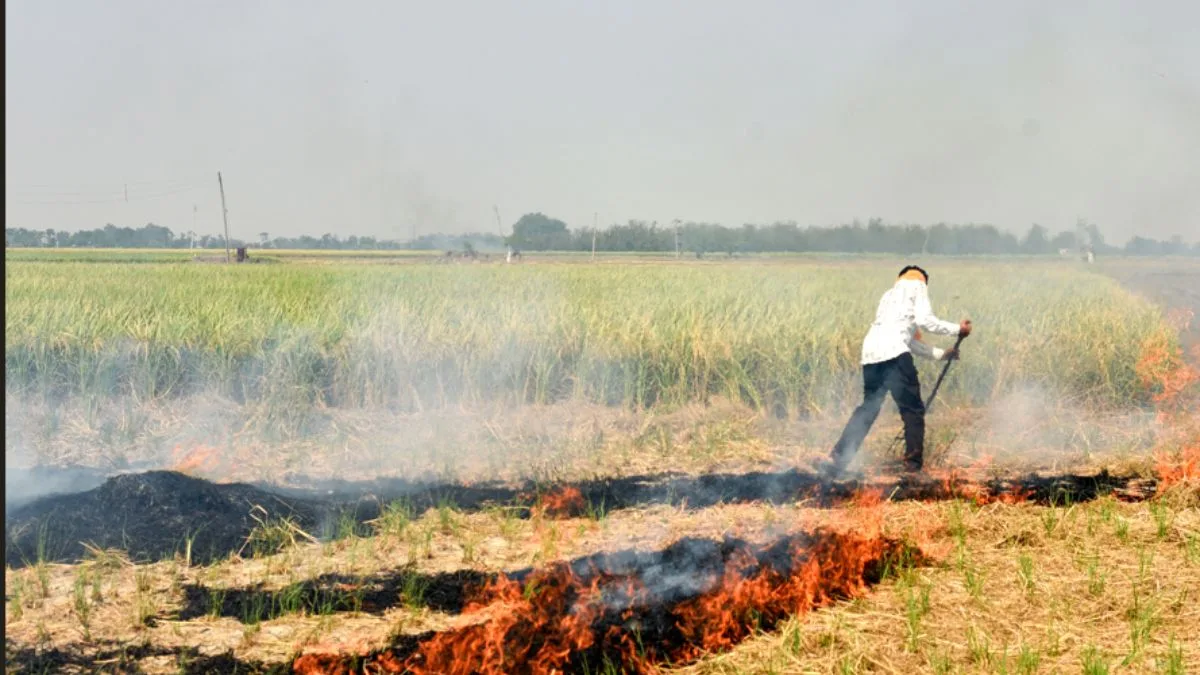 Huge drop in stubble burning in Punjab, Haryana: CAQM