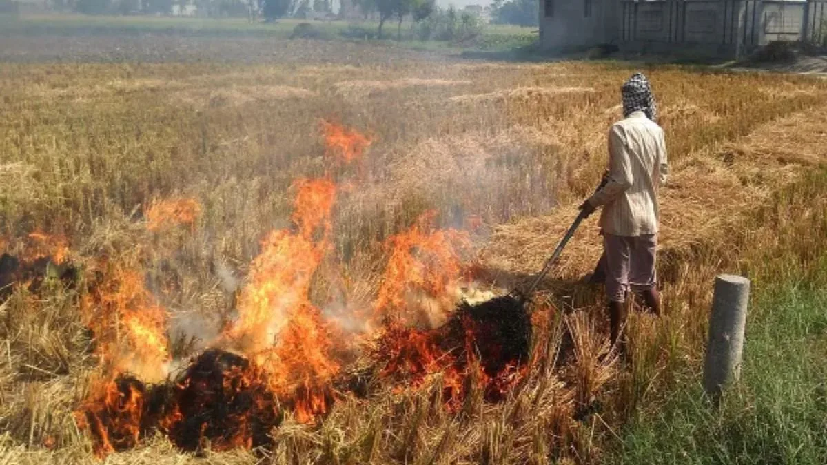 SC asks Punjab, Haryana to file reports on action taken to check stubble burning