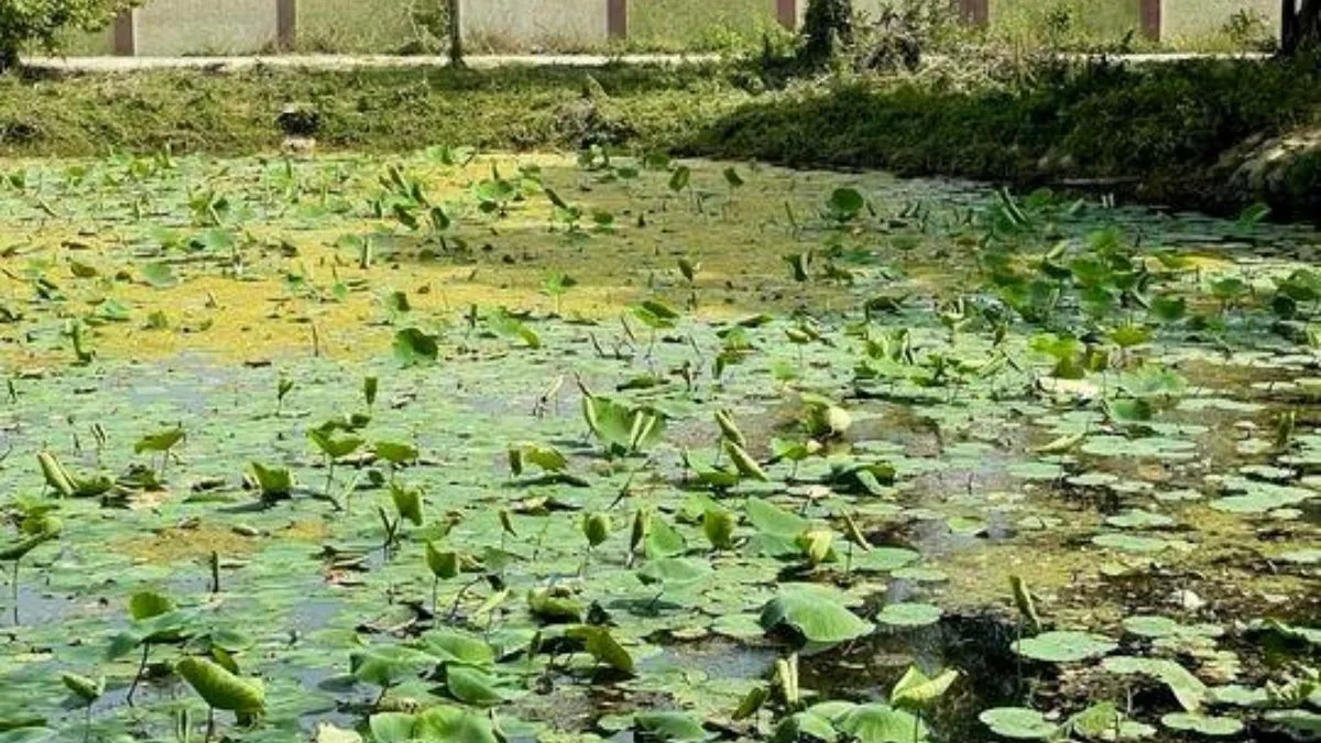 UP Tourism to develop sacred Shringi Rishi Ashram in Meerut under Mahabharata Circuit