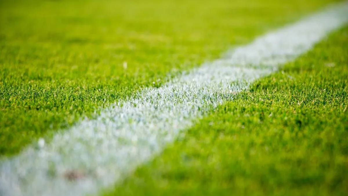 Patanjali schools kick off India’s first national sports competition for students