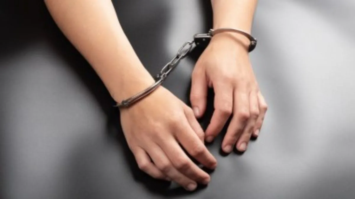 Delhi Police arrest 16 gangsters in night-long multi-district operation