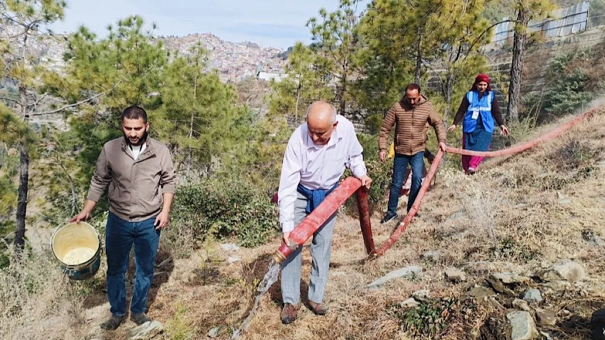 Mayor ensures survival of saplings amid prolonged dry spell in Shimla