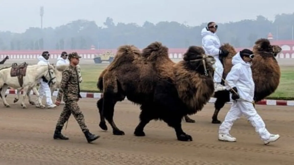 Ladakh’s rare double-humped camels, Zanskar ponies to debut at New Delhi Republic Day Parade