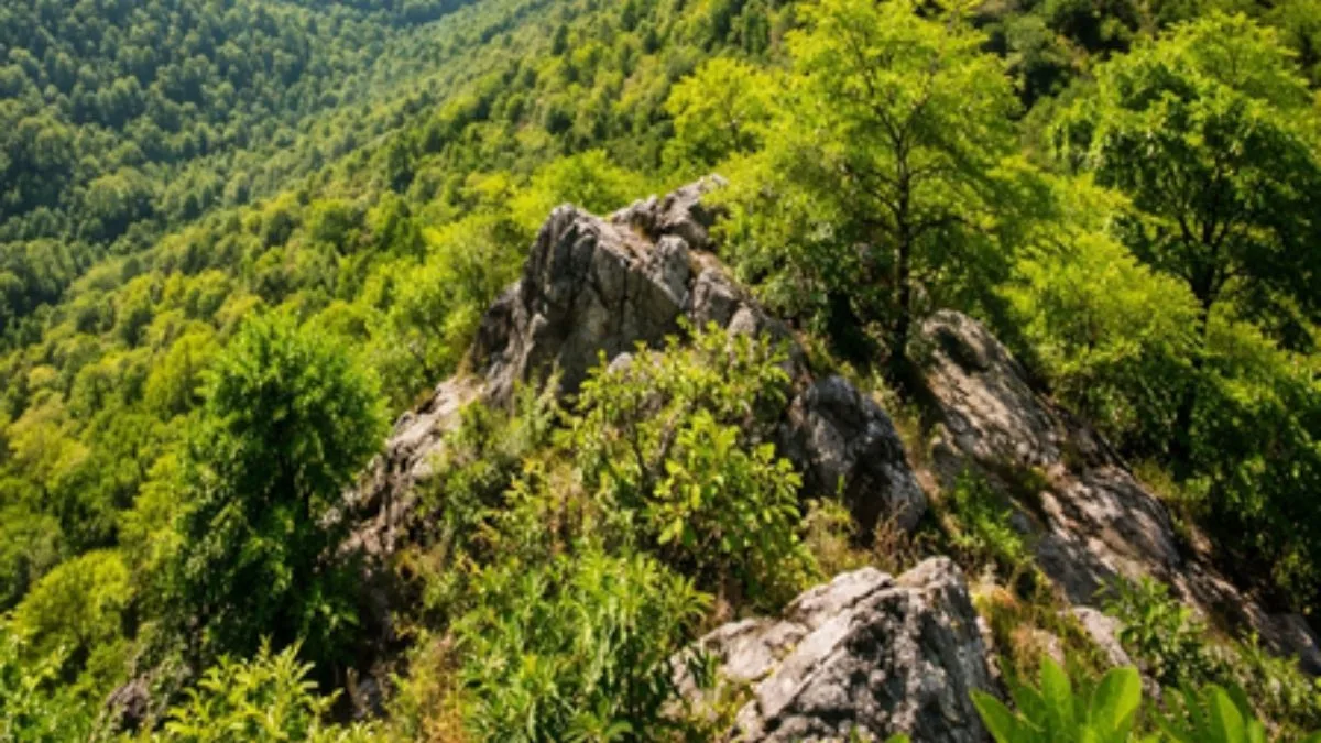 Contrived confusion over the Aravallis