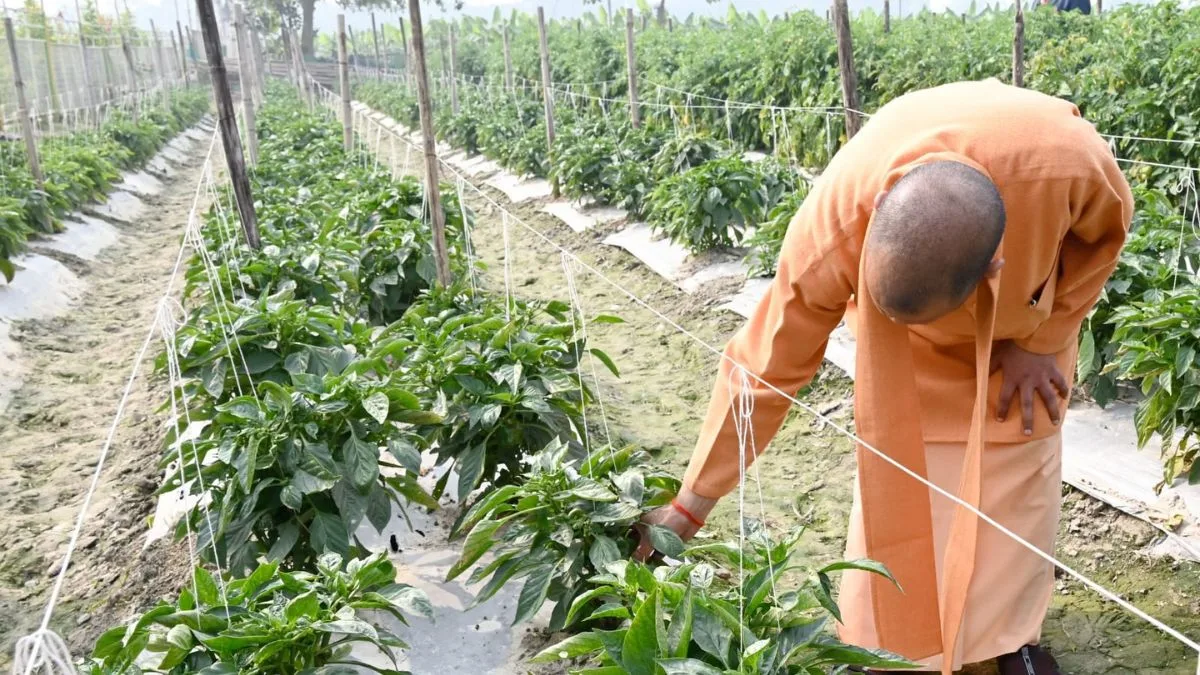 Yogi launches Kisan Pathshaala 8.0, stresses soil health as key to boosting farmers’ income