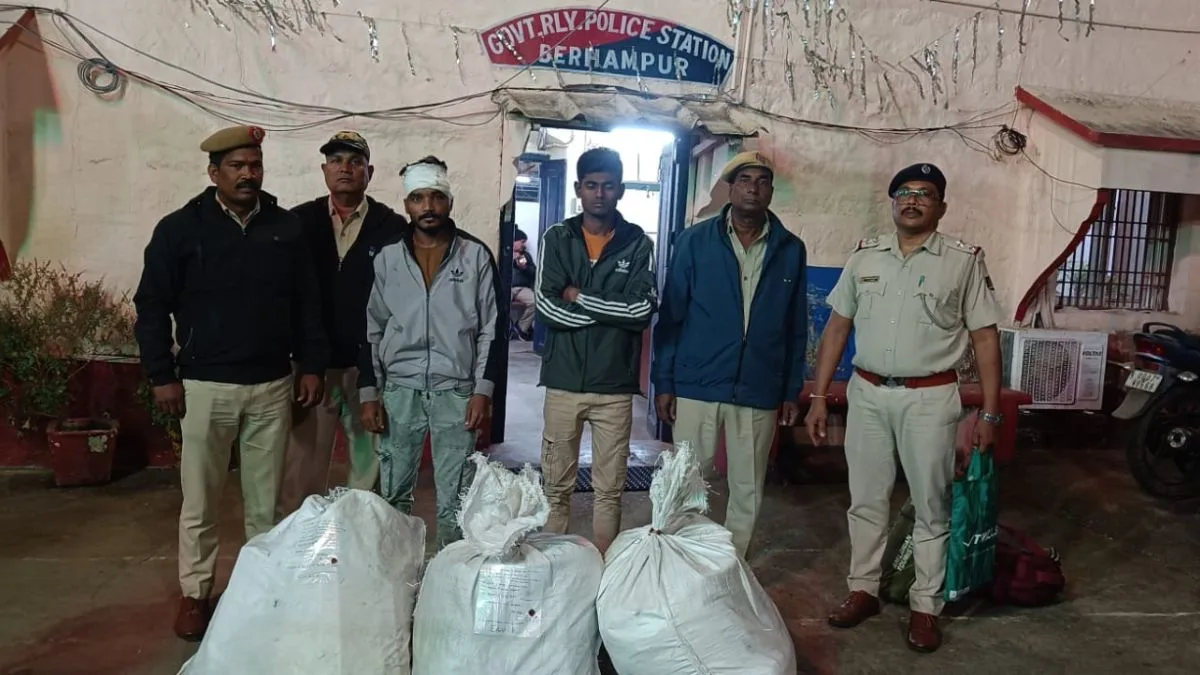 Cannabis stashed in cricket bats seized in Odisha, 2 held