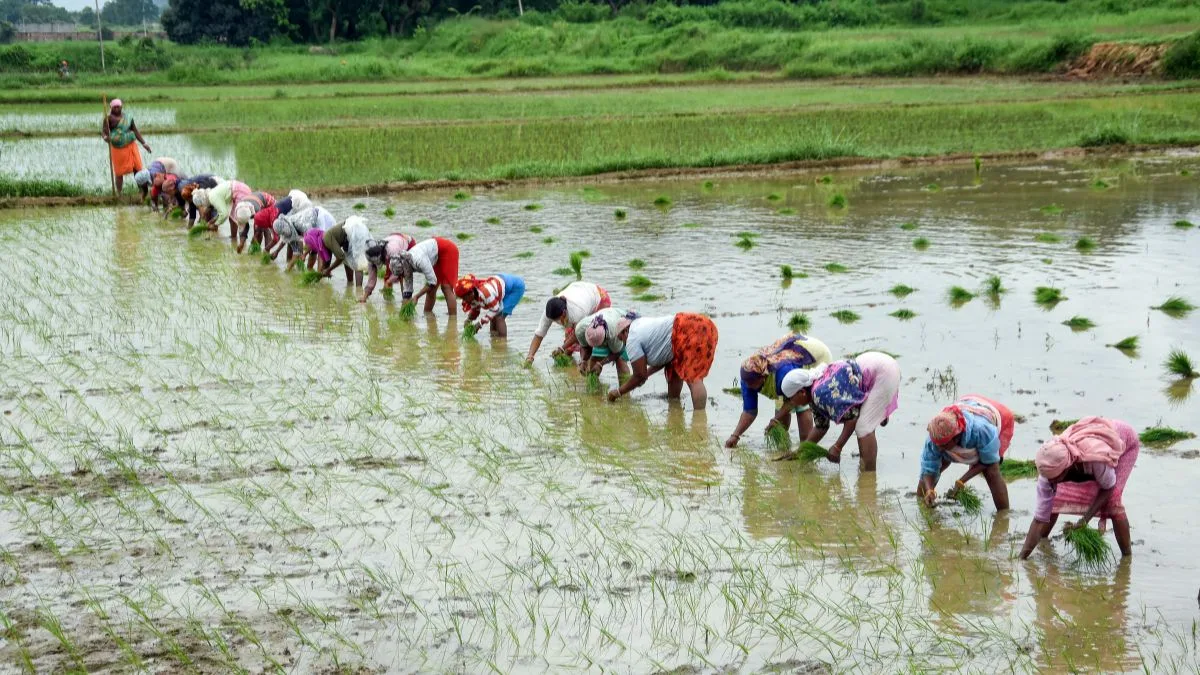 Every farmer’s paddy will be procured, assures UP CM Yogi