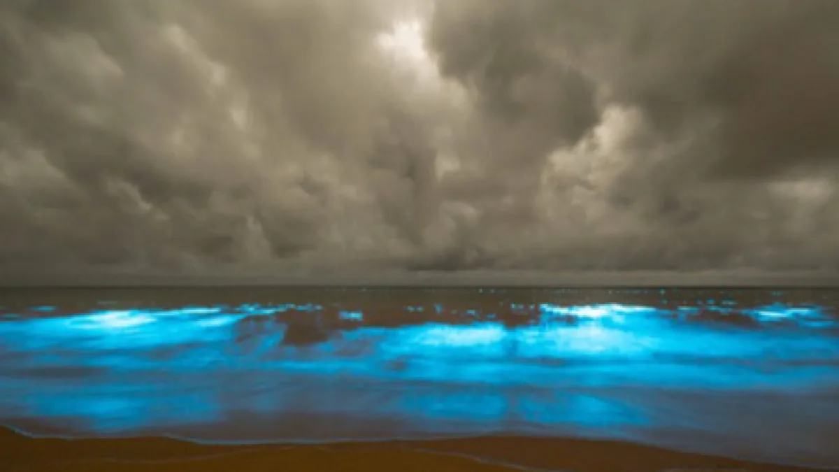Glowing waters in Australia’s Tasmania linked to climate change, not fish-farm waste: Scientists