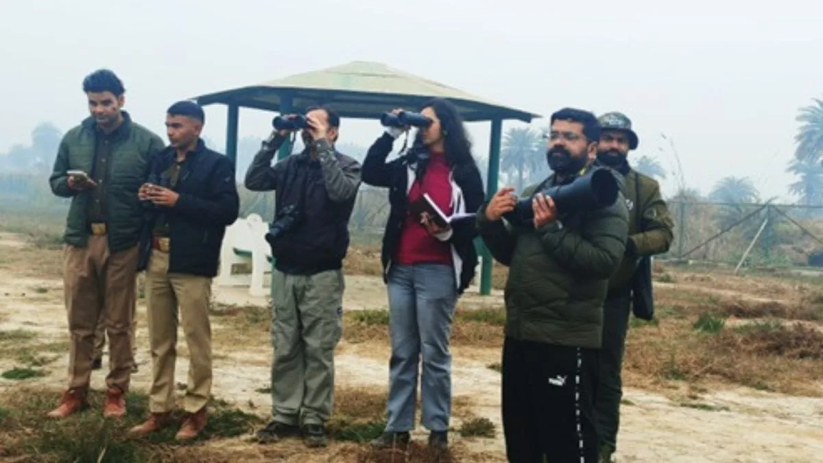 Asian Waterbird Census 2026: Aquatic birds counted in Jodhpur Jhal wetland in Mathura