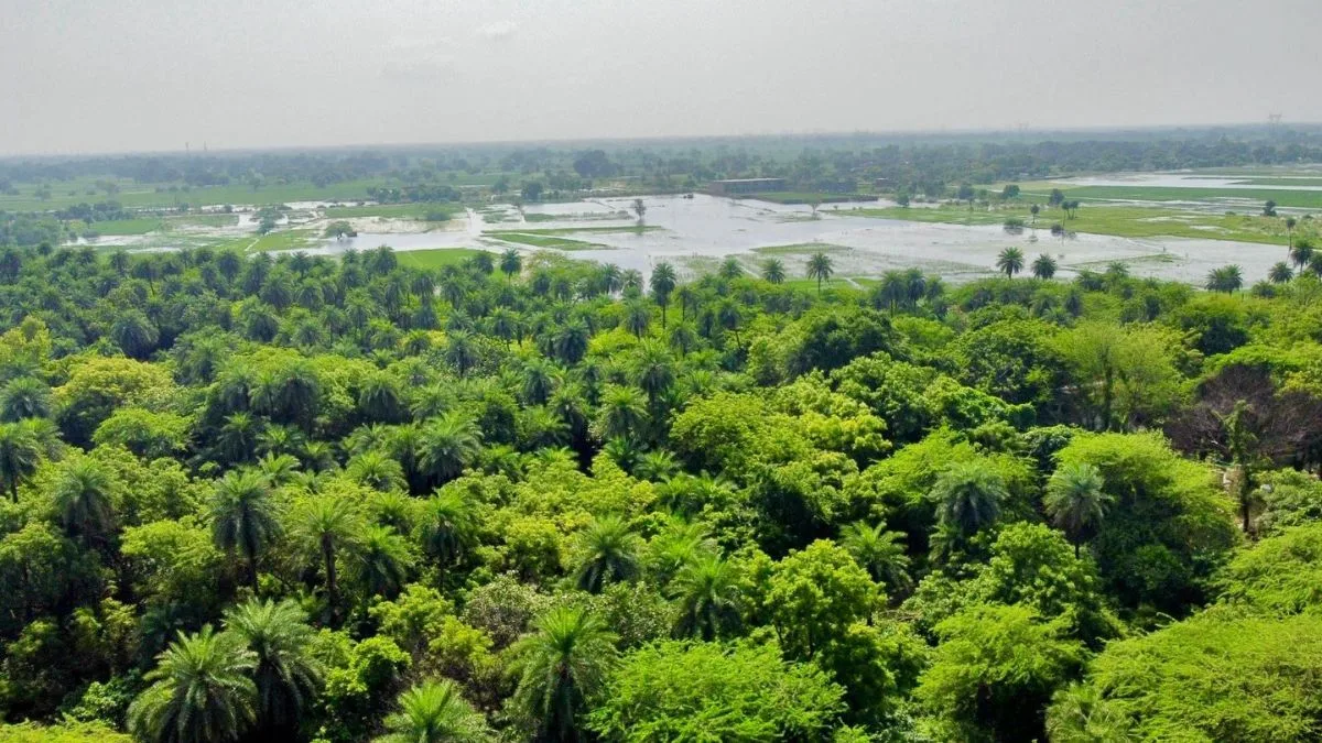 PM Modi: India committed to preserving biodiversity, protecting vital ecosystems