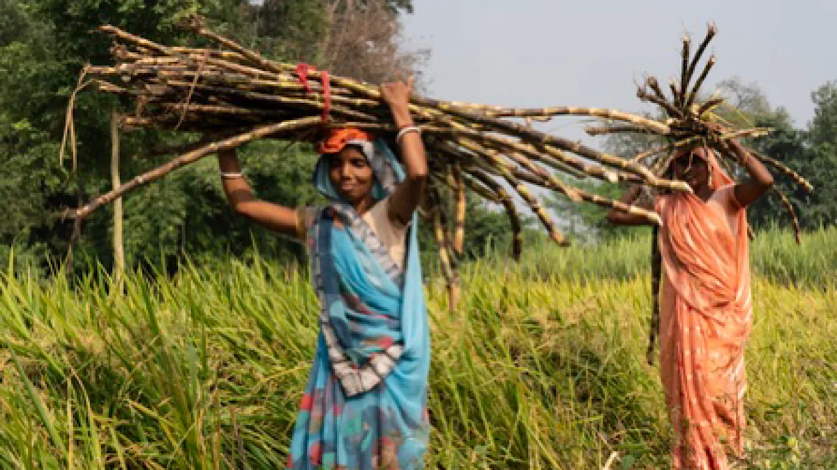 Centre releases over Rs 275 crore to boost rural governance in Jharkhand