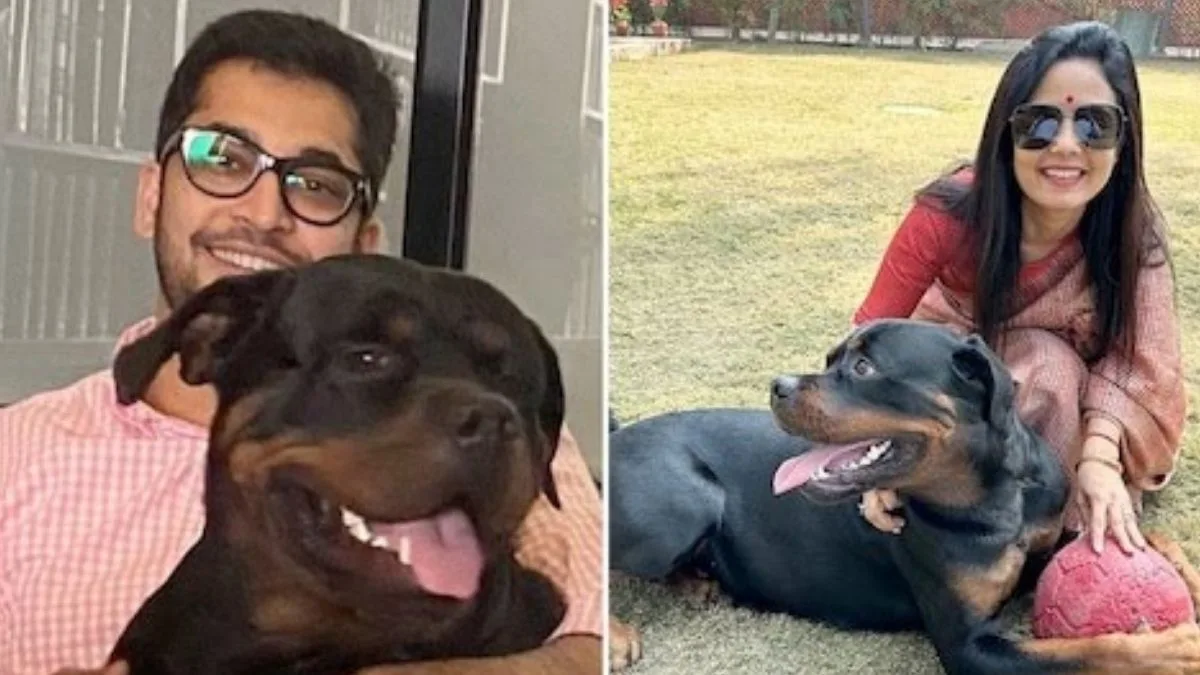 Brouhaha over Henry: TMC MP Mahua Moitra moves Delhi HC against Jai Anant Dehadrai for custody of pet Rottweiler dog
