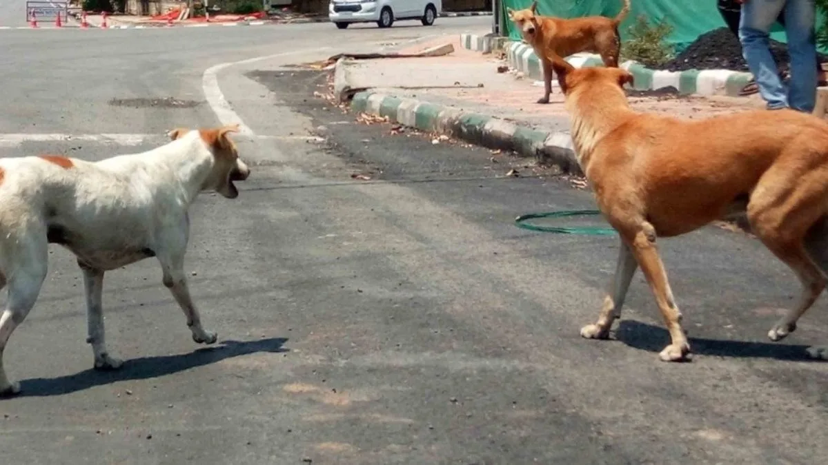 Supreme Court upholds citizens’ right to live free from fear of stray dog attacks