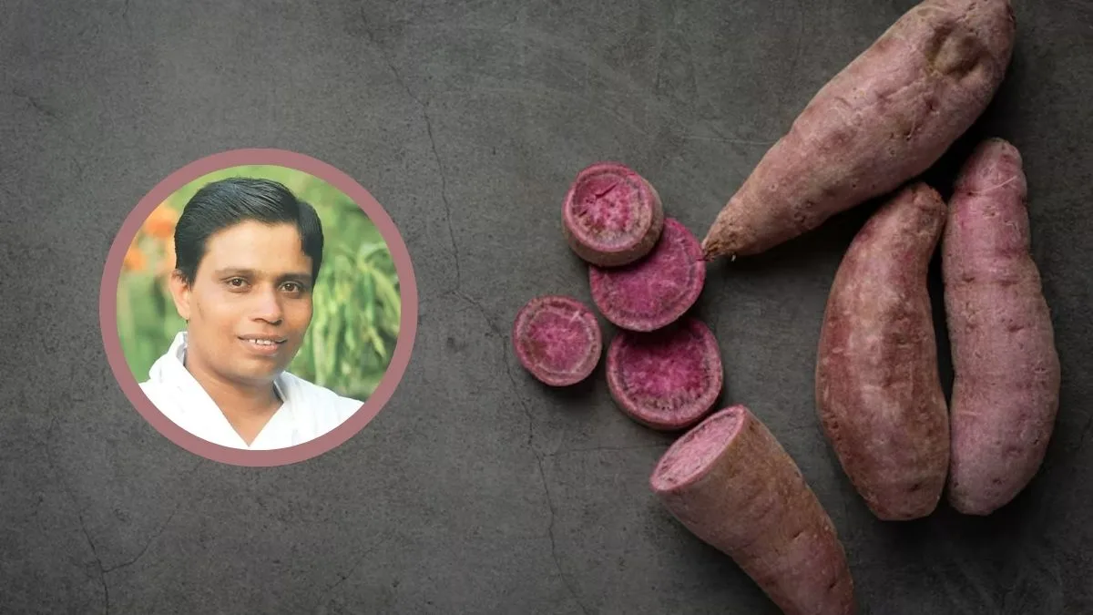 Winter nights get warmer: Acharya Balkrishna savours sweet and roasted potatoes in heartwarming video
