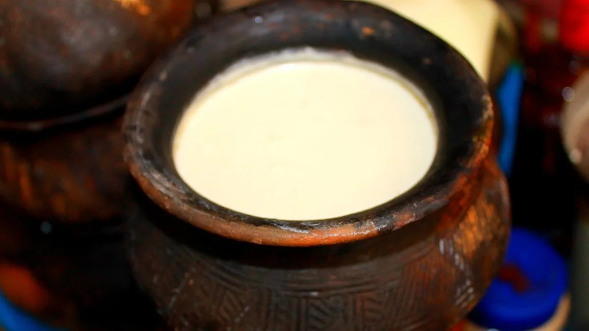 From gut health to immunity, Acharya Balkrishna lists multiple curd benefits