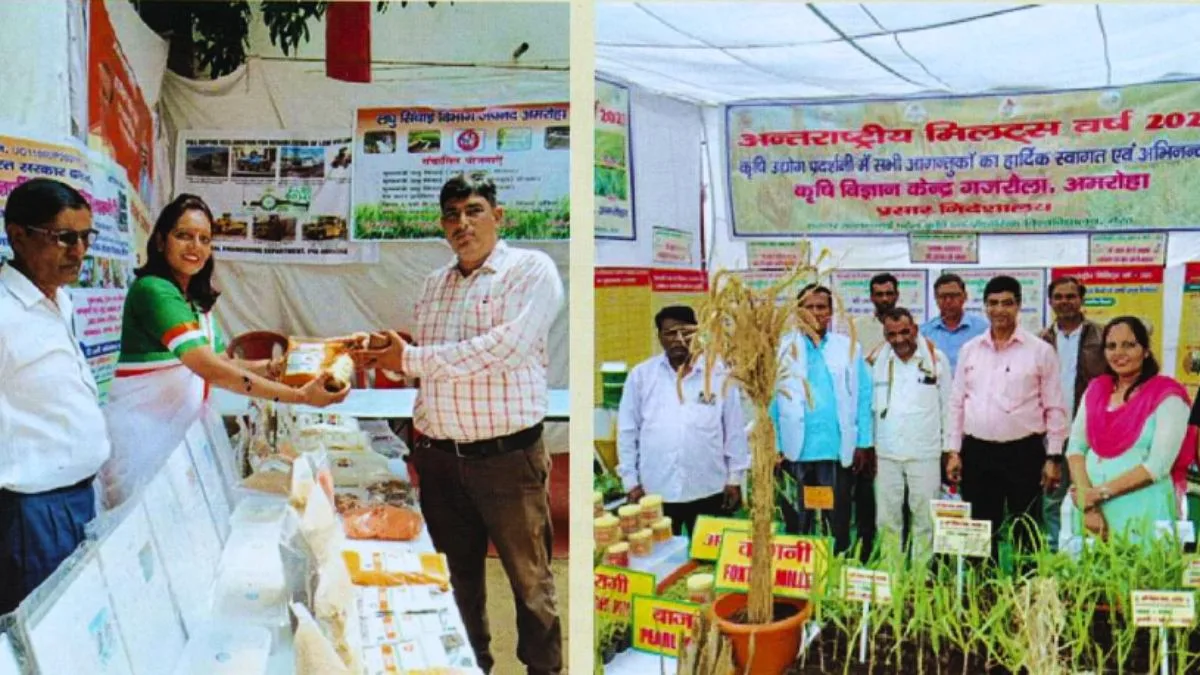 From resistance to respect: How women farmers trained by Patanjali became role models in organic agriculture