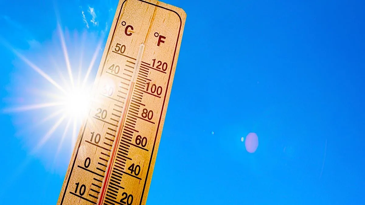 Double whammy: IMD warns above-normal temperatures, more heatwaves March to May