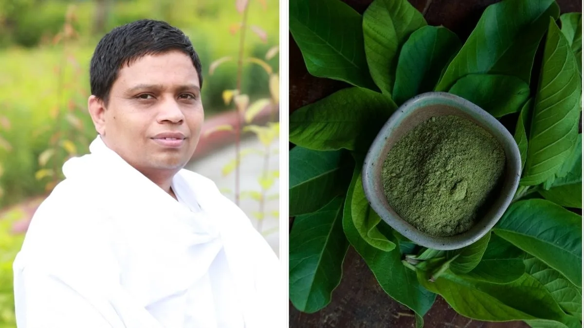 Kitchen cure alert: Acharya Balkrishna puts guava leaves back in the spotlight for dental care