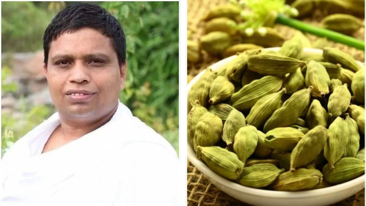 Kitchen spice or natural detox hero? Acharya Balkrishna says small cardamom may cleanse the body from within