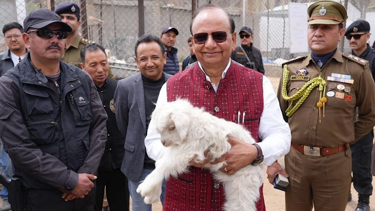 LG Saxena pushes to brand Ladakhi pashmina as global luxury product