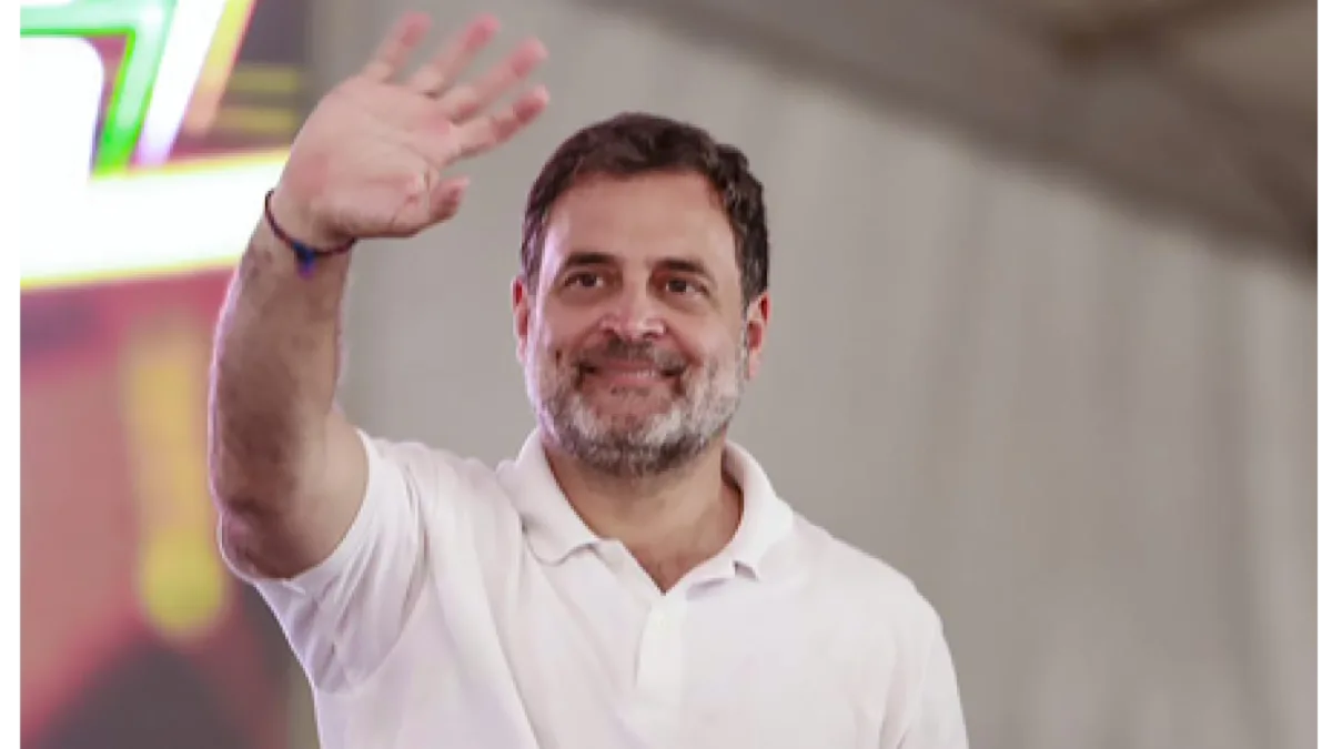 ‘Political tool’ to redraw India’s electoral map, Opposition will defeat it, says Rahul