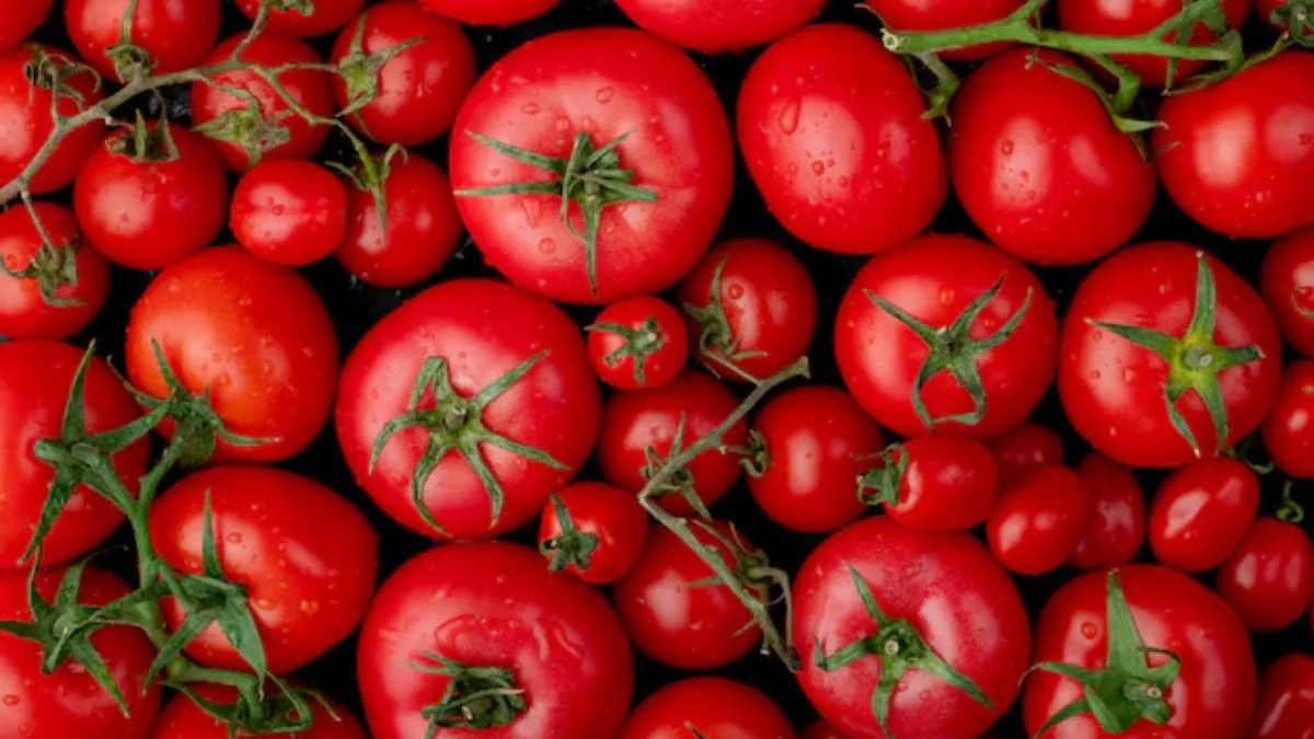 The red revolution on your plate: Why tomatoes are being called nature’s ultimate healing secret