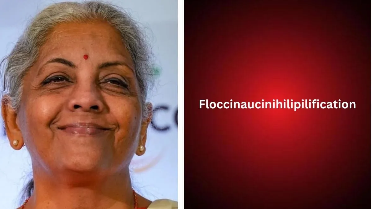 What is ‘floccinaucinihilipilification’ that Delhi court used to dismiss defamation case against Nirmala Sitharaman?