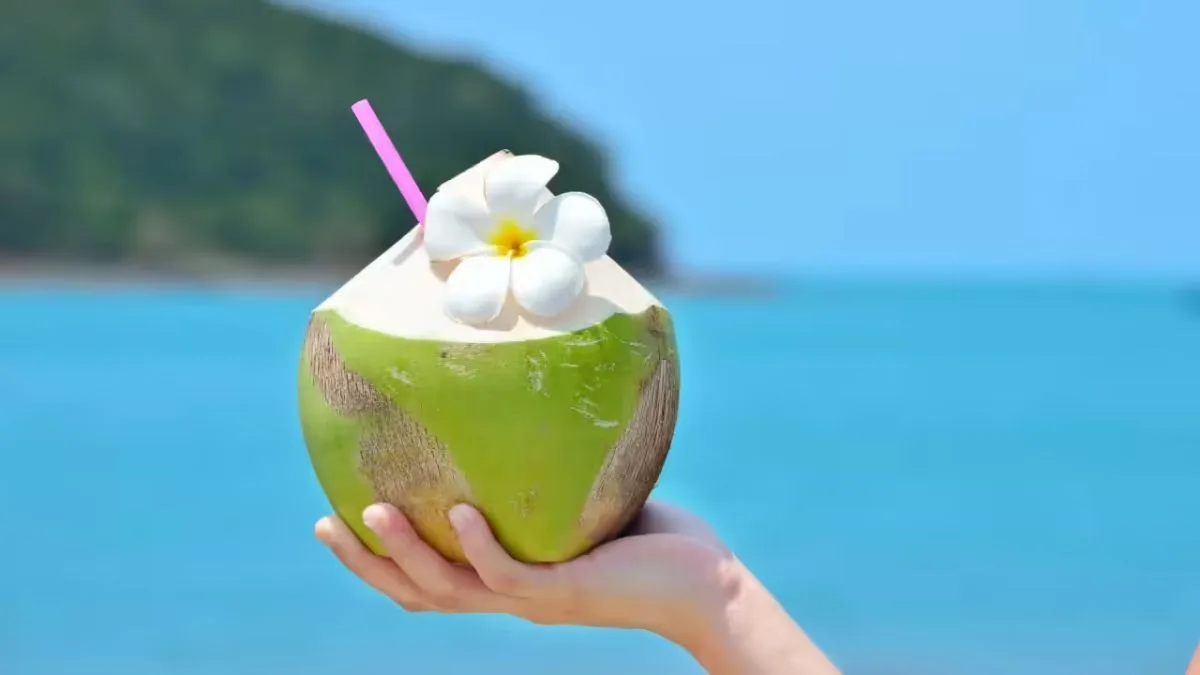 Coconut water is summer’s best friend, says Acharya Balkrishna