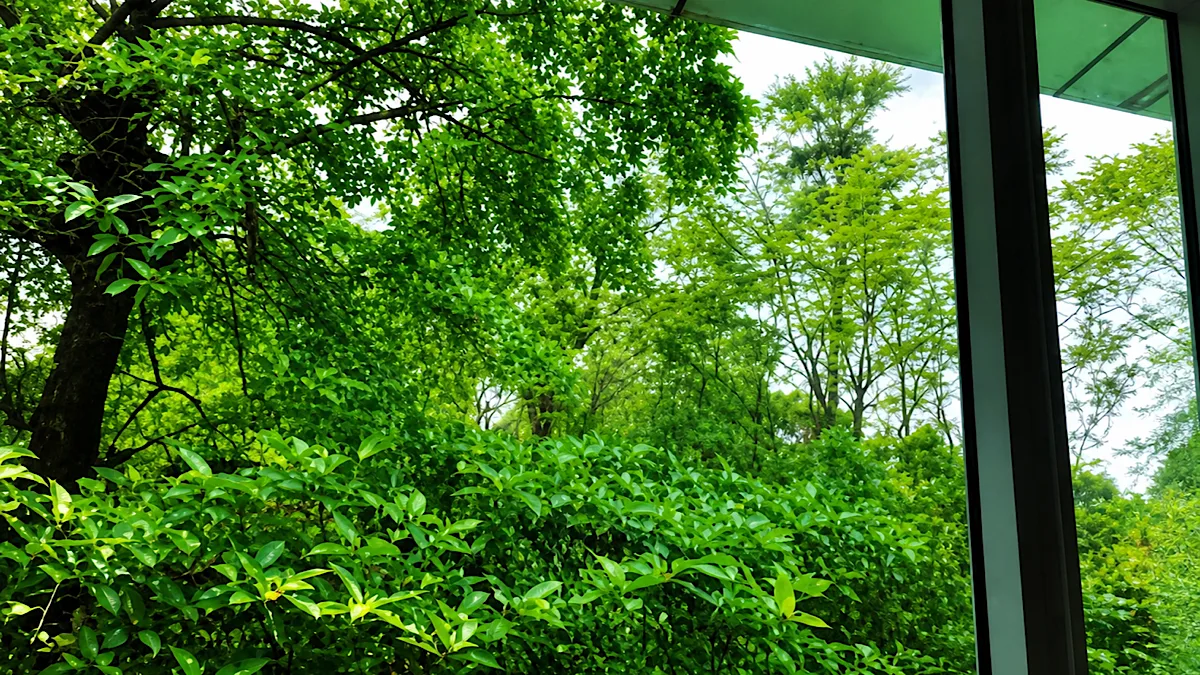 Vote for Verdant