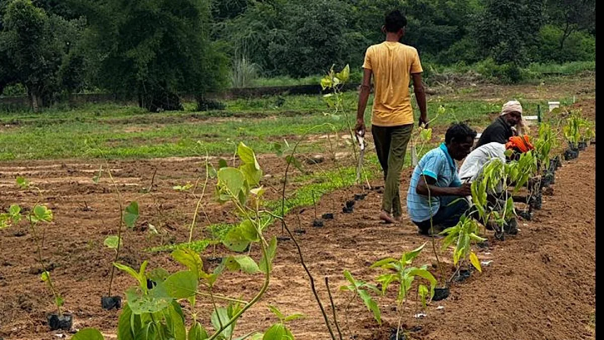 Forest Hill Resort joins hands with Afforestt to transform Shivalik eco-tourism