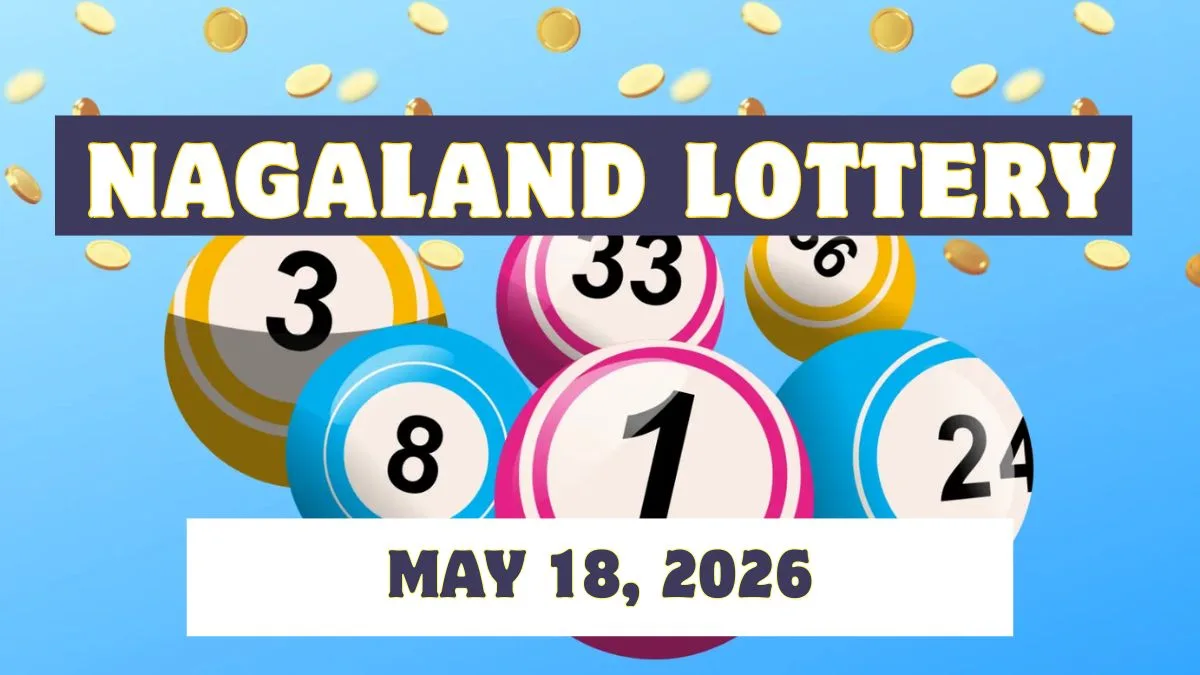 Nagaland Dear Rise Monday weekly lottery winner announced, ₹1 crore goes to 51L 91632; check all the winning numbers
